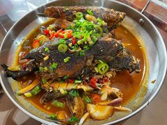 -龙小海荆沙鸽子店(瑞安街店)