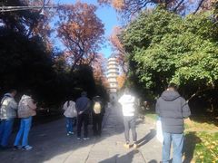-灵谷景区