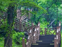 -老山国家森林公园