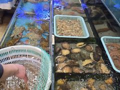 -小铜锣湾海鲜家常菜馆(河西店)