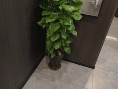 -鹿栖.精油SPA(金山世纪城店)