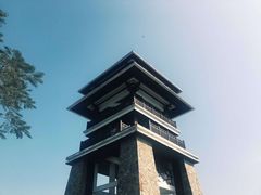 -大湾区中央湿地公园