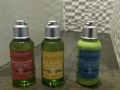 -戴高乐机场火车站