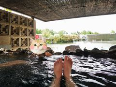 -春晖园度假酒店温泉