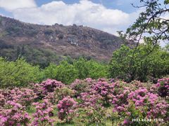 -名花谷生态庄园