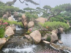 -罗红摄影艺术馆