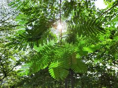 -华南师范大学(广州大学城校区)