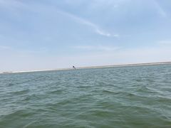 -碧海金沙