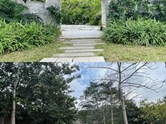 -番禺大夫山森林公园