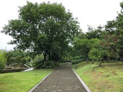 -白塘生态植物园