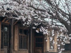 -爱新觉罗皇家博物院