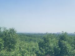 -紫金山山顶公园