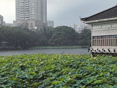 -荔湾湖公园