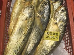 -龙宴海鲜城(经中路店)