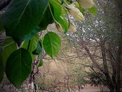 -辽宁大学(崇山校区)