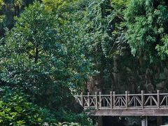 -刘伯温故里景区百丈漈