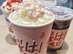 -伏小桃(明瓦廊店)