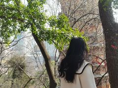 -宝通禅寺