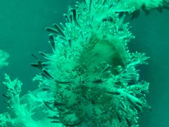 -福州罗源湾海洋世界旅游区