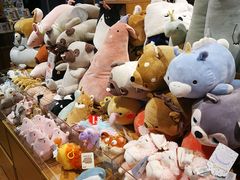 -九木杂物社(江宁金鹰广场店)