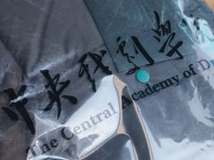 -中央戏剧学院(东城校区)