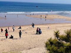 -巧克力渔家.小船海鲜胶东菜(万平口店)