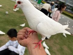 -在海一方公园