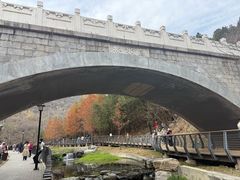 -白水寺森林公园