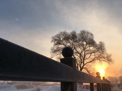 -雾凇岛