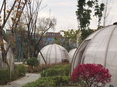 -悦见花开·花园里的火锅·露营·下午茶