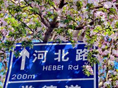 -天津五大道文化旅游区