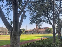 -上海德威外籍人员子女学校(浦东校区)