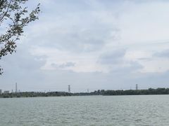 -漕湖湿地公园