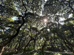 -黄埔荔枝公园