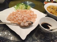 -上海新锦江大酒店