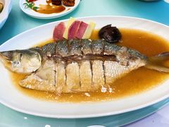 -新吉士·上海菜(浦东LCM置汇旭辉店)