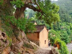 -杨家堂村