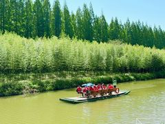 -黄海国家森林公园