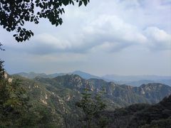 -大岭沟猕猴桃谷风景区