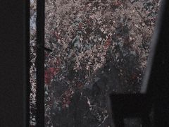 窗外风景-素咫咖啡CLIFEROSE
