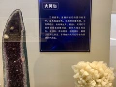 -安徽省地质博物馆