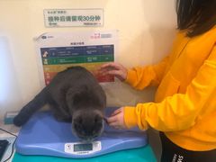 -美迦爱-牙专科·兔科·骨科诊疗中心(北苑店)