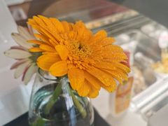 -Dal Cuore 达可芮冰淇淋(陕西北路店)