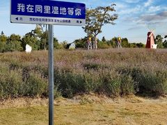-同里国家湿地公园
