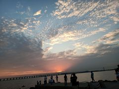 -宝安西湾红树林湿地公园