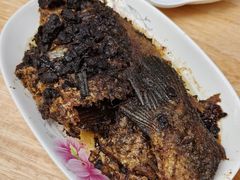 豆豉鲫鱼-牛王庙(龙华花园店)