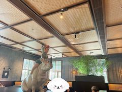 -庐灶江南·江南菜·四合院Bistro(东直门雍和宫·原华侨宾馆店)