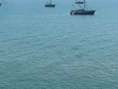 -港珠澳大桥(珠海段)