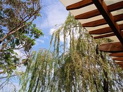 -白鹭湾湿地公园