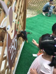 -萌宠亲子动物乐园(槐房万达店)